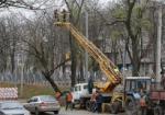 Харьковские коммунальщики занялись обрезкой аварийных деревьев