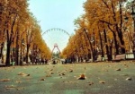 Программа выходных в парке Горького