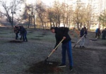 В Слободском районе высадили молодые липы и дубы