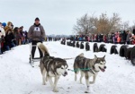 Катание на упряжках, каникросс и выставка собак: под Харьковом состоится «Winter Dog Fest-2018»