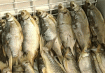 На Харьковщине изъяли из продажи некачественную рыбу